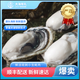 大海有禮漳州市東山縣海蠣肉生蠔肉牡蠣肉去殼純?nèi)怩r活現(xiàn)剝海鮮新鮮冷凍 海蠣肉*6包【不加一滴水】250g/盒