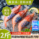 森農(nóng)樂牡丹蝦新鮮刺身級(jí)鮮活冷凍日料理即食國產(chǎn)鰲蝦斑點(diǎn)蝦生吃甜蝦紅蝦 500g(凈重)  12-14cm【10-12頭/盒 超滿足 】