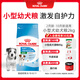 皇家狗糧 幼犬狗糧 寵物 小型犬 MIJ31 全價犬糧 2-10月 2KG