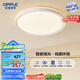 歐普（OPPLE）48瓦吸頂燈客廳臥室燈簡(jiǎn)約護(hù)眼智控調(diào)光LED燈具18㎡品見III包安裝