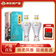 西鳳國花瓷10年紀念版鳳香型白酒宴請送禮收藏 52度 500mL 2瓶