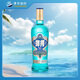 洋河 高線光瓶酒 藍(lán)洋河 52度 500ml 單瓶裝 綿柔濃香型白酒
