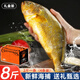 尚致冰鮮黃花魚(yú)青島新鮮大黃魚(yú)生鮮黃魚(yú)鮮活冷凍特大深海魚(yú)海鮮禮盒 【精美禮盒8斤】2斤*4條黃花魚(yú)