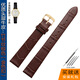 適用阿瑪尼女款真皮表帶 適AR1911 AR1910 AR1802手表皮帶黑棕色14mm 竹節紋棕色（金色扣） 14mm