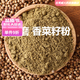 同仁堂香菜籽粉【藥房正品直營】新貨香菜籽粉現(xiàn)磨云南正宗燉湯鹵肉火鍋調(diào)料調(diào)味料香菜籽粉 現(xiàn)磨農(nóng)產(chǎn)香菜籽粉的【55··克】
