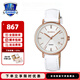 卡西歐（CASIO） 卡西歐女士手表SHEEN時尚星空皮帶防水女表石英表SHE-4048 SHE-4048PGL-7AUPR