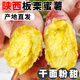 春福樂陜西板栗蜜薯陜西沙地紅薯新鮮現(xiàn)挖紅薯地瓜小蕃薯山芋整箱包郵 凈重4.5-5斤丨精選裝