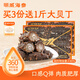 明威海參即食海參 深海冷凍遼刺參 非干參 單只裝 生鮮海鮮冷凍水產(chǎn)禮盒 1000g 1000g手提裝20-30只
