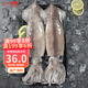 初鮮鮮凍大魷魚2-4條凈重1.2-1.3斤 鐵板魷魚火鍋燒烤食材 海鮮軟足類