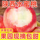 【果園現摘】正宗陜西水蜜桃新鮮桃子當季水果孕婦水蜜桃脆桃整箱 4.5斤 精選大果9--12個(gè)