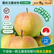 隰縣玉露香梨【順豐】整箱香梨當(dāng)季水果 山西隰縣小西天特產(chǎn)禮盒 孕婦水果 9粒大果（約6斤）80-90mm