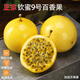 犟馬鮮生廣西欽蜜9號黃金百香果正宗大果新鮮現(xiàn)摘正宗園直發(fā) 大果（單果70-90g）《特別甜》 凈重4.8-5.2斤（暢吃不貴）