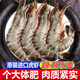 蝦有蝦途黑虎蝦特大號(hào)老虎蝦新鮮冷凍鮮活斑節(jié)蝦整盒2斤凈重20-25只/盒 1盒 2斤(凈重)  17-19cm