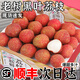 順豐妃子笑新鮮荔枝整箱6斤現(xiàn)摘現(xiàn)發(fā)當(dāng)季老樹桂花荔枝香孕婦水果 整箱6斤丨【大果】性價比高