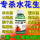 水花生專(zhuān)用除雜草爛根農田池塘水池除茅草克滅水花生爛根肥料特效 100ml 1瓶
