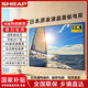SFIRAP廈普全面屏超清電視機(jī)智能網(wǎng)絡(luò)語(yǔ)音投屏客廳護(hù)眼日本原裝液晶平板 75英寸 長(zhǎng)125*寬73cm 超清全面屏語(yǔ)音版
