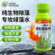 坤寧王魚缸除藻劑去苔劑青苔清除劑滅綠藻除綠水高濃縮抑制水藻滋生