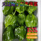 【爆款清倉】東北新鮮麻辣椒薄皮麻辣椒清香微辣皺起辣椒新鮮蔬菜 東北麻辣椒-清香微辣0g 精選麻辣椒 帶箱4.3到4.8斤不辣】