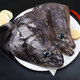 翔之魚(yú)鰈魚(yú)頭2個(gè)裝共800g 單個(gè)約300g-500g 燒烤深海魚(yú)頭 可做剁椒魚(yú)頭 