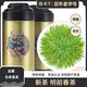 龍?zhí)丁竞幽侠献痔枴魁執(zhí)缎抨柮饩G茶250g明前特級嫩芽正宗2025春茶 信陽毛尖125g*2罐金裝（送禮袋）
