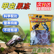 星舵甲蟲果凍昆蟲飼料獨(dú)角仙果凍鍬甲飼料昆蟲食物鍬甲秋甲蟲明日達(dá) 10枚散裝（可食用30天左右）