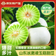 慧供山東玉菇甜瓜正宗冰淇淋蜜瓜香脆瓜新鮮水果多汁核心產(chǎn)區(qū)直發(fā) 凈重3斤