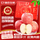 蒲戀煙臺(tái)紅富士蘋(píng)果山東棲霞新鮮孕婦吃的水果不打蠟一級(jí)脆甜整箱發(fā)貨 甄選中大果【單果75-80mm】 5斤裝【80%客戶選擇】?jī)糁?.5斤
