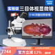 奧斯微（AOSVI） 體視顯微鏡4K拍照測(cè)量解剖教學(xué)科研級(jí)顯微鏡帶屏光學(xué)體視顯微鏡 T2-HK830（上下光/含品牌4K屏）