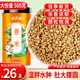 參慶堂麩炒薏米500克 去寒氣貴州小薏米搭紅豆薏米茶炒薏米仁紅豆薏米水