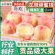 愛(ài)鮮摘農(nóng)場(chǎng) 四川龍泉驛水蜜桃【順豐空運(yùn)-多地次日達(dá)】桃子端午節(jié)水果禮盒 12A級(jí)至尊果禮盒裝｜送禮推薦 【貢品級(jí)】5斤10枚裝｜單果180g+