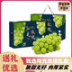 京興果云南陽(yáng)光玫瑰葡萄鮮果大果脆甜香印青提無(wú)籽晴王葡萄新鮮整箱整串 4斤禮盒裝