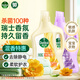 滴露（Dettol）衣物柔順劑 金盞花2.5L+薰衣草2.5L衣物護(hù)理劑