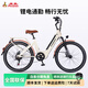 鳳凰D1鋰電池助力電動(dòng)自行車禧瑪諾變速超長(zhǎng)續(xù)航男女士單車助力車 D1-26寸/米白色/單速/輻條輪-36V 6A（純電續(xù)航約24KM）