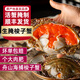 舟山紅膏嗆蟹梭子蟹生醉蟹整只寧波特產(chǎn)梭子咸蟹生腌螃蟹即食生鮮 韓式醬母蟹4只