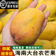 鑫果滋【順豐】海南大臺(tái)農(nóng)芒果 熱帶水果臺(tái)農(nóng)芒甜心芒新鮮雞蛋大臺(tái)芒 5斤-大果（150-250g） 順豐