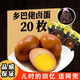 喜得喜鄉(xiāng)吧老鄉(xiāng)巴佬風味鹵蛋鹵雞蛋五香蛋茶葉蛋咸麻將雞蛋休閑零食整箱 【店長推薦】五香鹵蛋20枚*35g