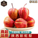南步陜西彩虹梨 香梨彩紅梨大果薄皮梨子早酥蜜梨七彩紅啤梨新鮮水果 9斤 精選大果【單果約150g+】