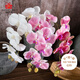 愛(ài)已裝糖 假花仿真花高檔七頭蝴蝶蘭塑料花客廳裝飾花餐桌花干花插花