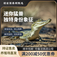 【順豐包郵】網(wǎng)紅獨(dú)特異寵小鱷魚活體迷你幼苗健康檢疫附飼養(yǎng)手冊(cè) 小鱷魚25-30厘米順豐包郵到家