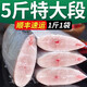 帶魚(yú)段特大帶魚(yú)生鮮冷凍特大帶魚(yú)段帶魚(yú)中段帶魚(yú)大段 5斤精品特大段 國產(chǎn)帶魚(yú)