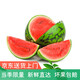 桃李村海南麒麟小蜜蜂西瓜 單只6-7斤新鮮紅瓤西瓜箱裝送禮 1個(gè)裝