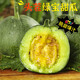 山東綠寶甜瓜綠寶石香瓜新鮮水果瓜孕婦水果現(xiàn)摘現(xiàn)發(fā)水果 精選裝單果150g+ 5斤帶箱凈重4.5斤
