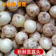 囧仙子新鮮苦藠小根團(tuán)蔥苦芥苦叫小蒜頭四川茭頭野蔥頭薤白 苦藠 大果 2斤