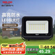 德力西（DELIXI）LED投光燈戶外工廠農(nóng)村庭院燈 IP65防水等級30W白光