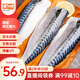 美加佳挪威青花魚片凈重2斤（8-10片）鯖魚片 獨(dú)立包裝 去頭去尾去臟