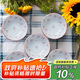 美濃燒（Mino Yaki）日本進(jìn)口陶瓷味碟家用餐碟釉下彩四葉草4.5英寸味碟5件套