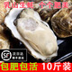 津鮮嘴鮮活包活乳山生蠔鮮活牡蠣新鮮超大特大肉海蠣子10斤海鮮刺身水產(chǎn) 4XL 10斤高品質(zhì)（包活到家）