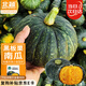 北蔬 南瓜種子苗甜糯陽(yáng)臺盆栽春秋四季種蔬菜種籽 黑板栗南瓜種子20粒