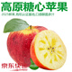 諸氏橙品【精選】高原蘋(píng)果 云南冰糖心蘋(píng)果 新鮮現摘蘋(píng)果孕婦水果禮盒 3斤家庭中小果，約14-17枚