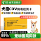 萌格犬瘟CDV熱病毒檢測(cè)卡膠體金試紙條 1條/盒 寵物狗狗發(fā)燒嘔吐腹瀉精神不振